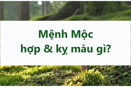 Mệnh Mộc hợp màu gì? Bảng màu may mắn cho mệnh Mộc