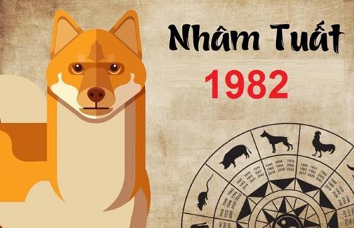 Tuổi Nhâm Tuất mua đất năm 2022 nên hay không? Phân tích từ chuyên gia