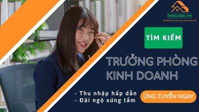 Trưởng phòng kinh doanh