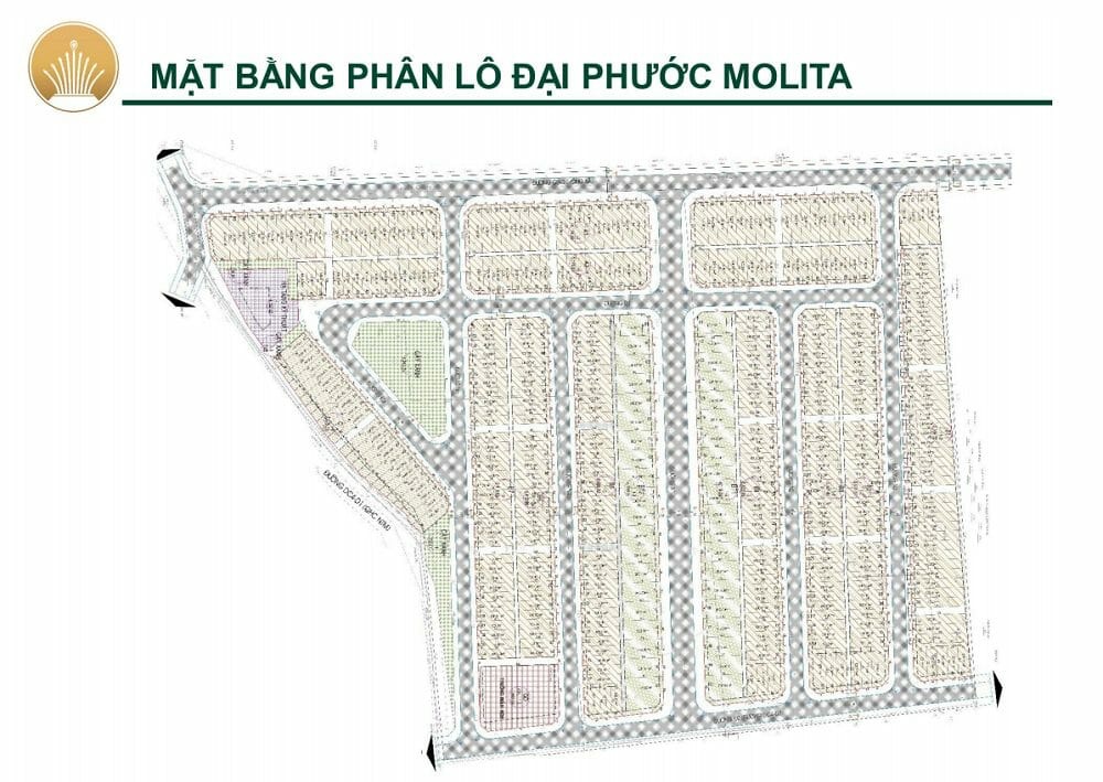 Đại Phước Molita