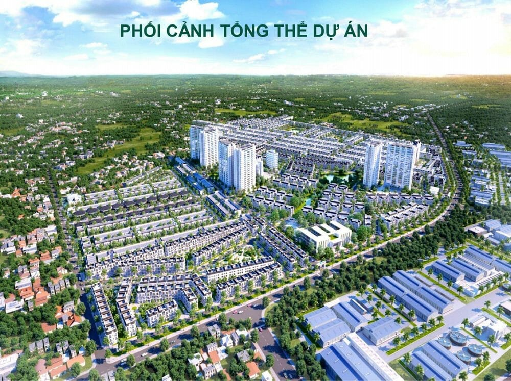 Đại Phước Molita