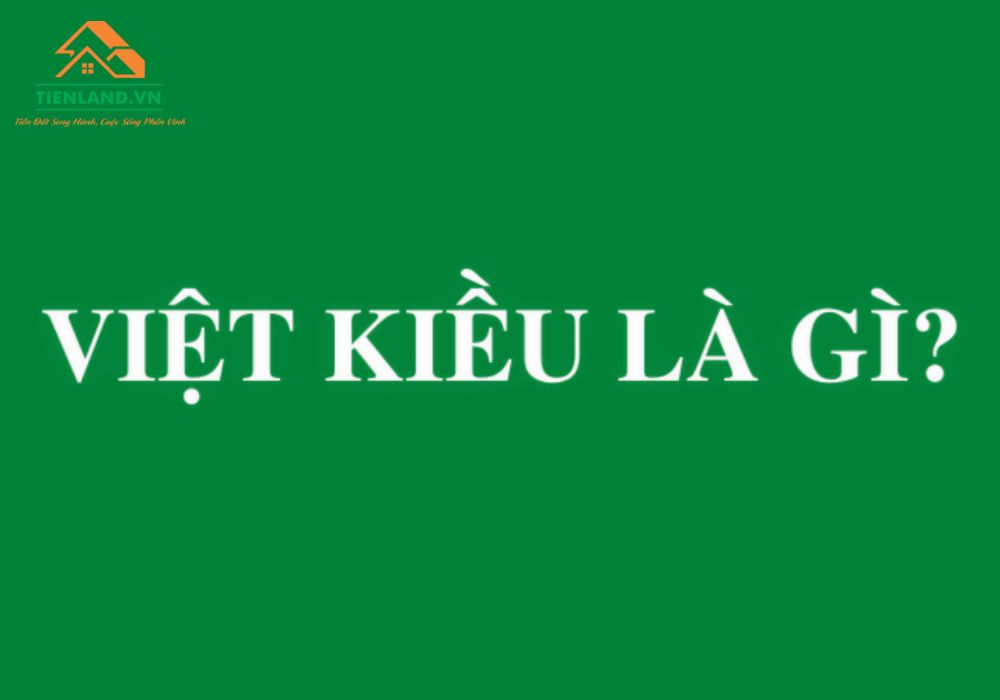 Thuật ngữ "Việt Kiều" chỉ những đối tượng nào?