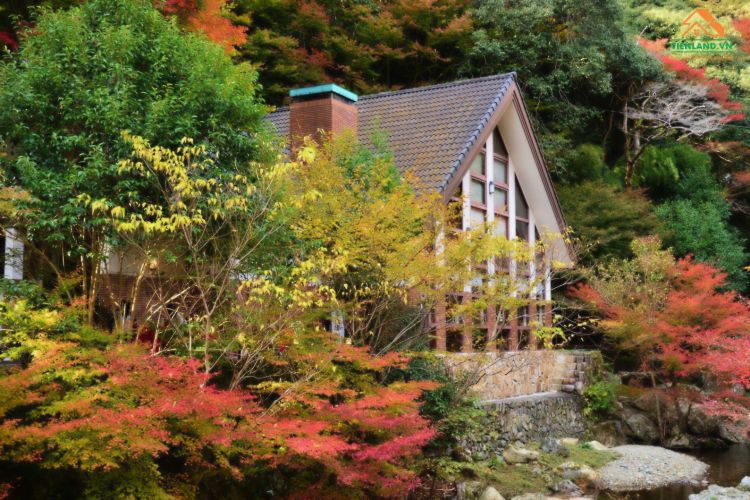 Ngôi nhà với thiết kế đơn giản, kết hợp cùng đá, hồ và cây xanh xung quanh