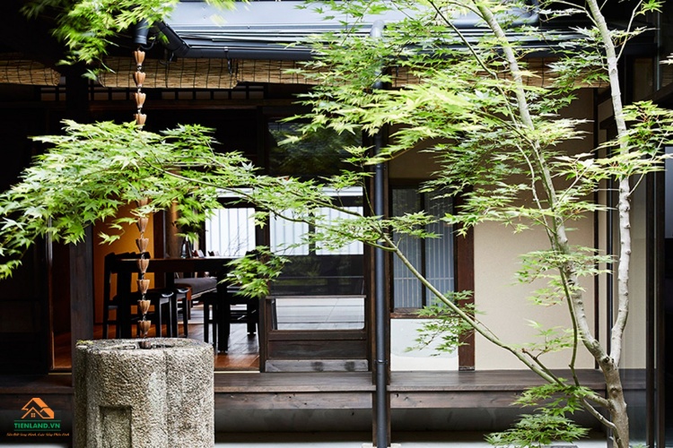  Không gian thoáng đãng trong vườn nhà Nhật Bản, với giếng vườn và không gian cây xanh ở giữa